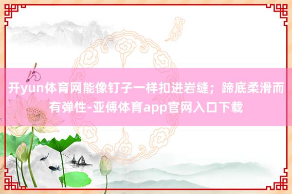 開yun體育網能像釘子一樣扣進巖縫；蹄底柔滑而有彈性-亞傅體育app官網入口下載