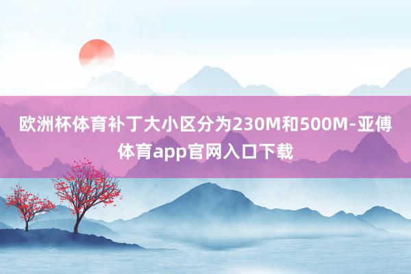 歐洲杯體育補丁大小區分為230M和500M-亞傅體育app官網入口下載